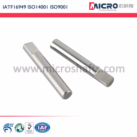 Micro albero in acciaio inossidabile con lavorazione CNC ad alta precisione personalizzato per utensili elettrici medici per motori con certificazione IATF