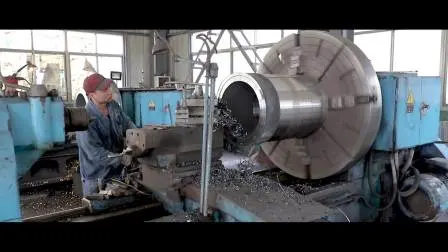 Pezzi lavorati/Forgiati di precisione in acciaio al carbonio